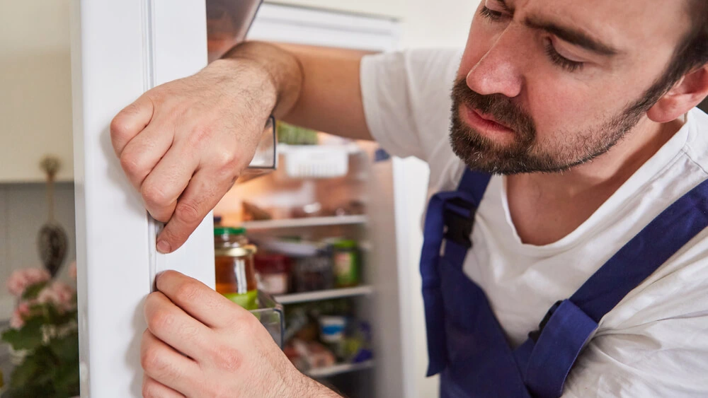 What is the Lifespan of your Refrigerator?.